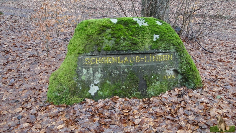 Ritterstein Nr. 131-2 Schoenlaub-Linden.JPG - Ritterstein Nr.131  Schoenlaub-Linden                               